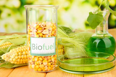 Lewiston biofuel availability